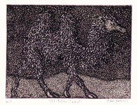Bactrian Camel